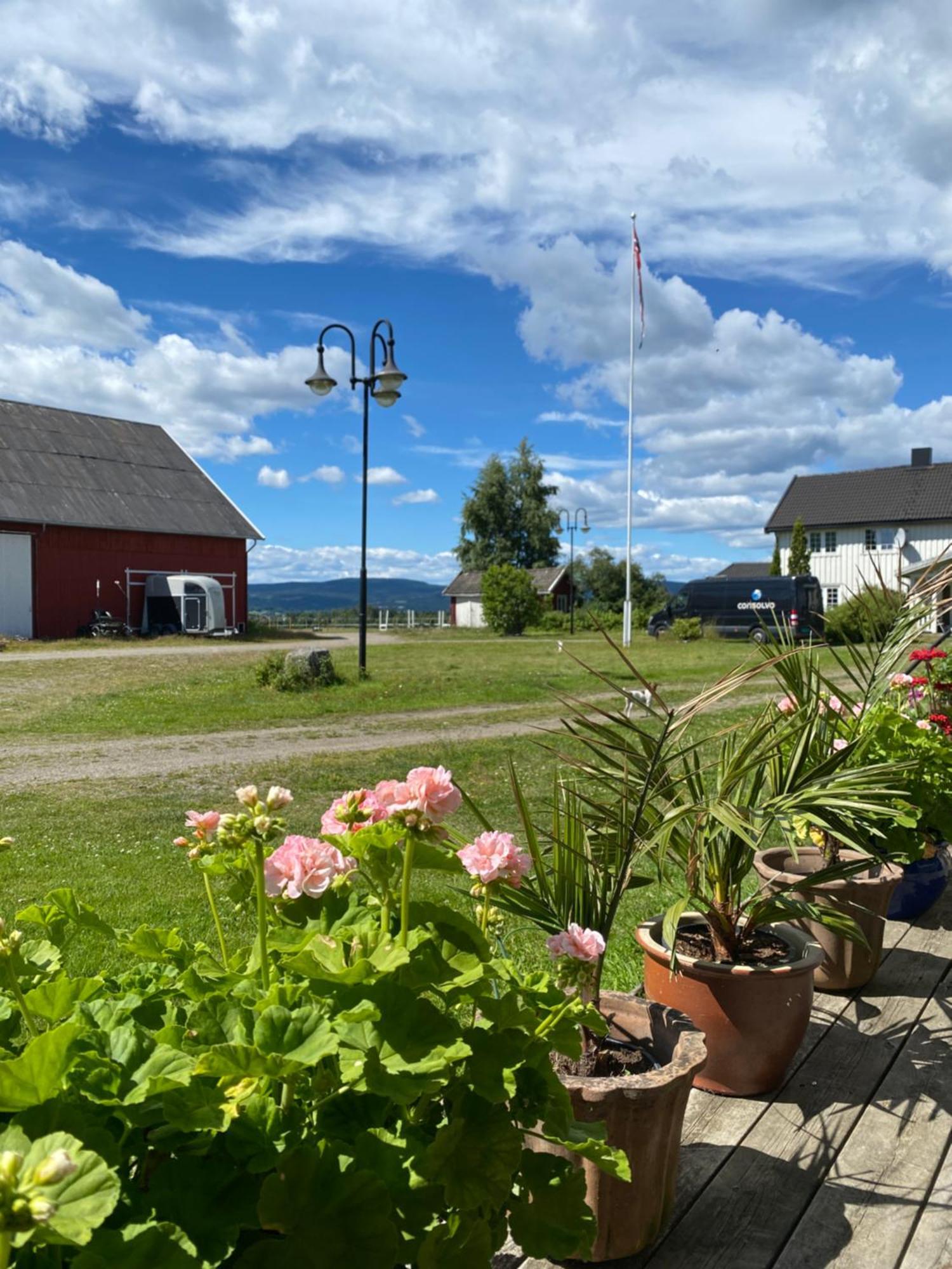 Sundby Fjordhestgard Villa Garder Eksteriør billede